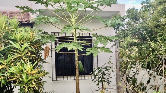 TERRENO COMERCIAL E RESIDENCIAL NA RUA DO CANAL